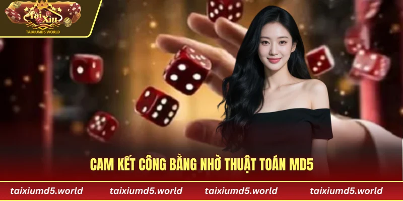 Cam kết công bằng nhờ thuật toán MD5